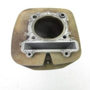 00 Yamaha Big Bear 400 4x4 Cylinder Jug 5FU-11310-01-00 2000-2012